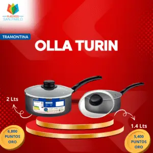 OLLA TURIN